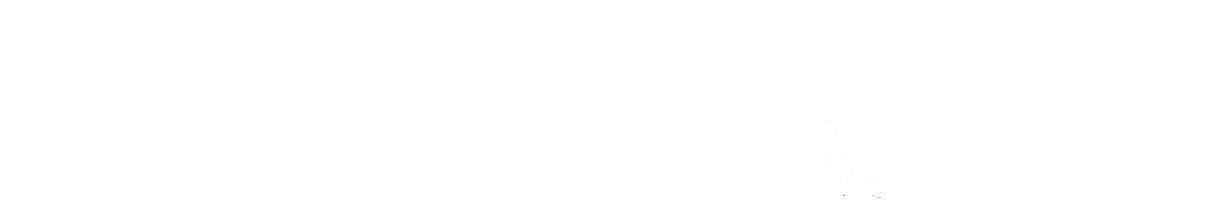 PW-Web-Logo